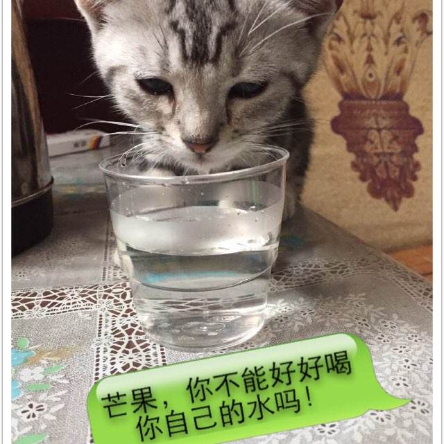 波茨坦应用技术大学 Physics degree